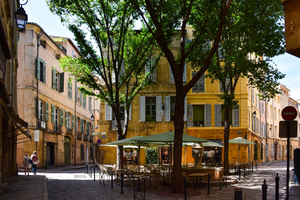 Lutte contre les nuisibles Aix-en-Provence